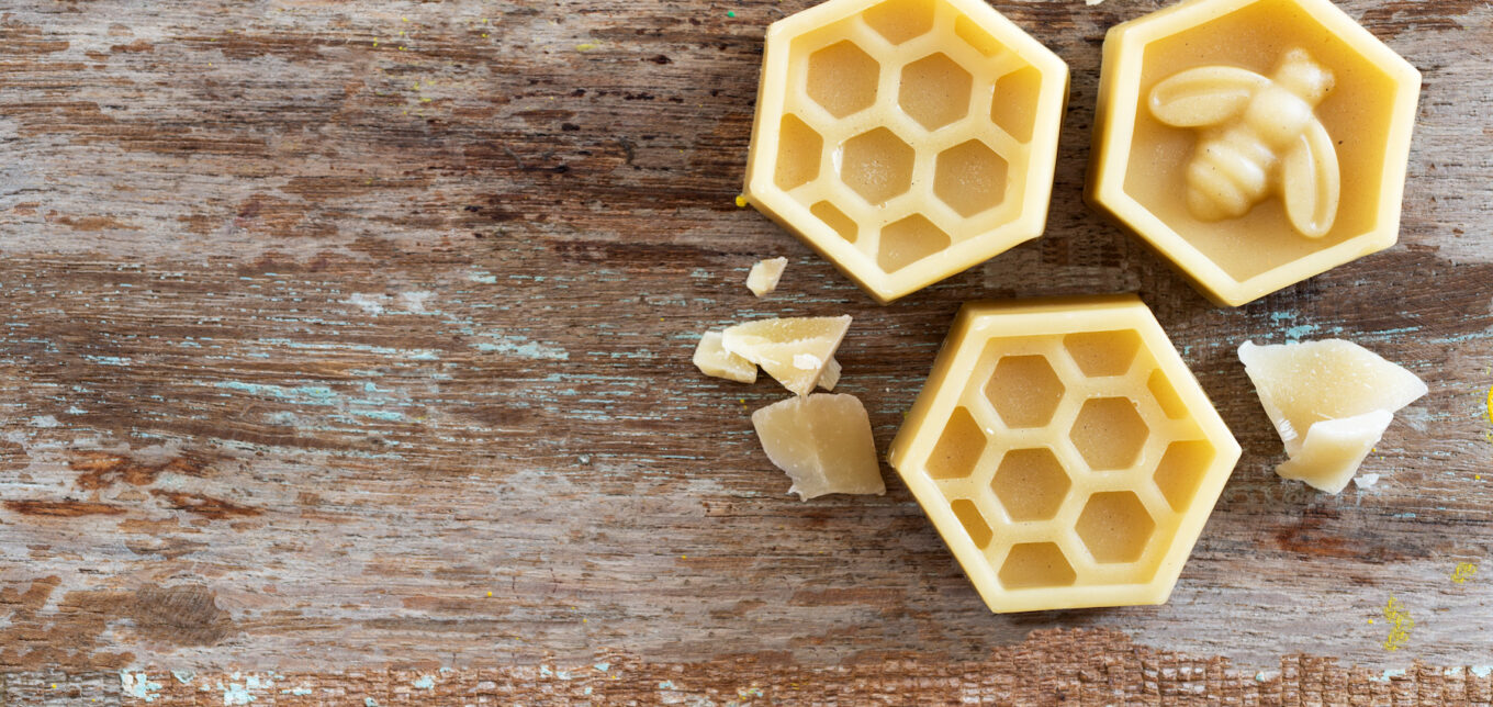What Is Beeswax? – Mother Earth News - Vimarsana News